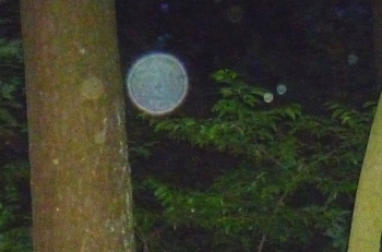 Orb 7