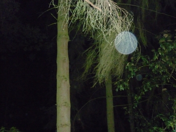 Orb 5