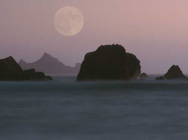 photo of calm ocean by moonlight