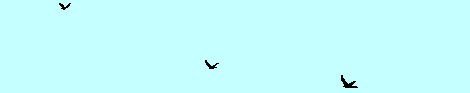 birds flying about